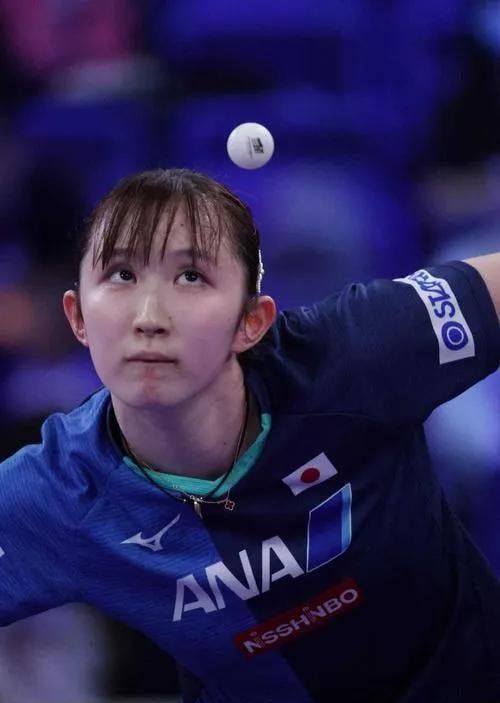 的谈判提供 的谈判提供