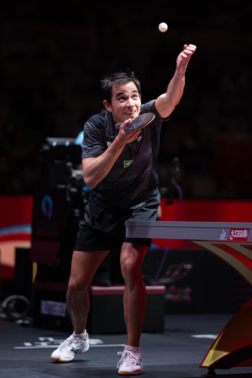 球迷的支持 球迷的支持